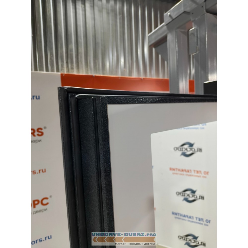 Дверь Бульдорс TERMO MIRROR